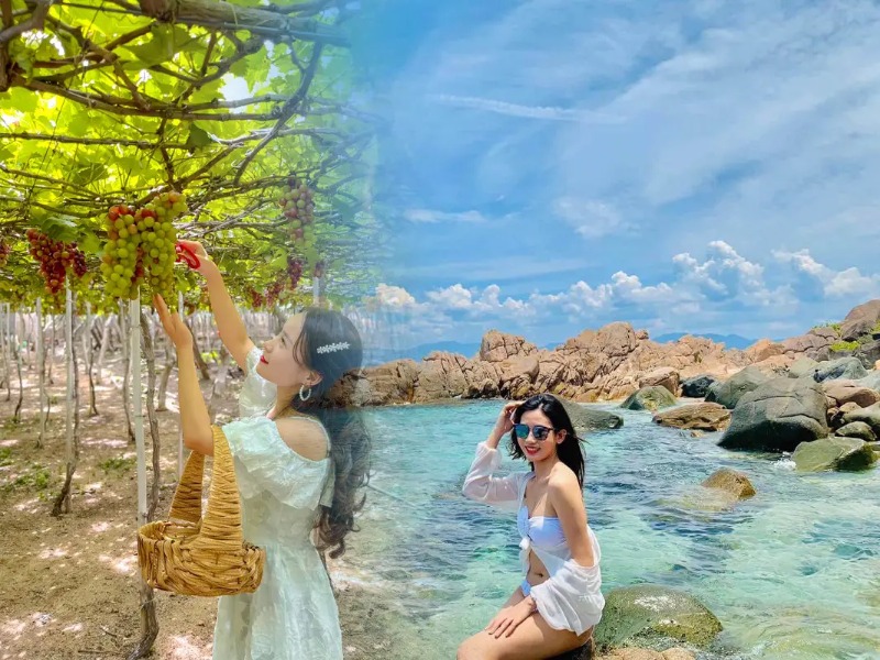 Tour Đảo Bình Hưng - Vĩnh Hy 3N2Đ